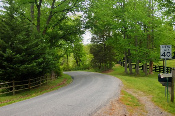 A picture I took by my house