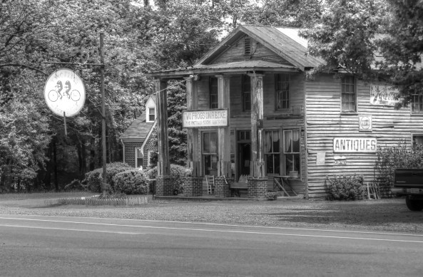 Two frogs on a bike 2   05-11-2013