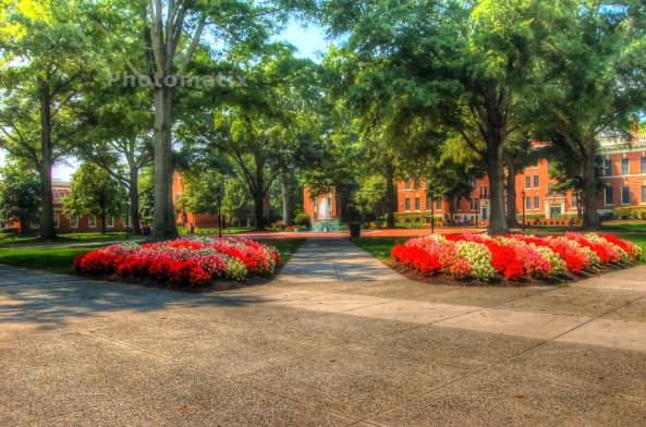 RMC open commons 8312013