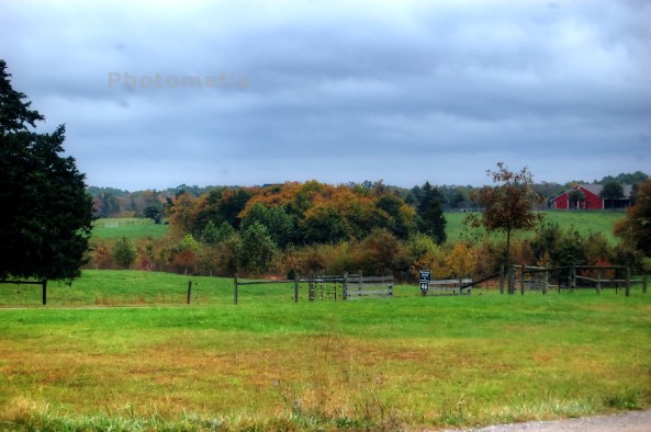 Greenwood 3 10192013