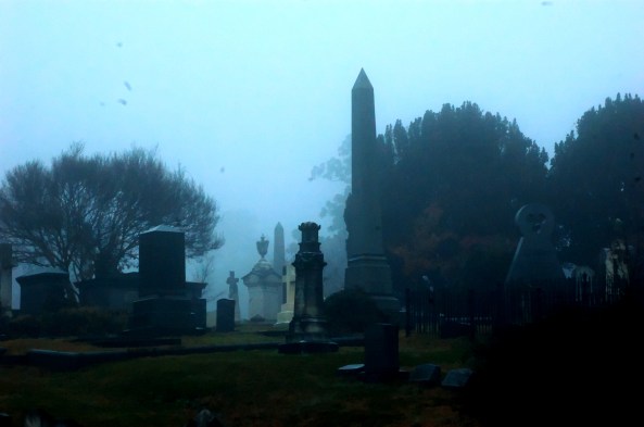 hollywood cemetary 1 1112014