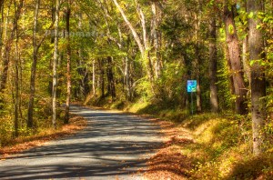 county road 10-26-2014